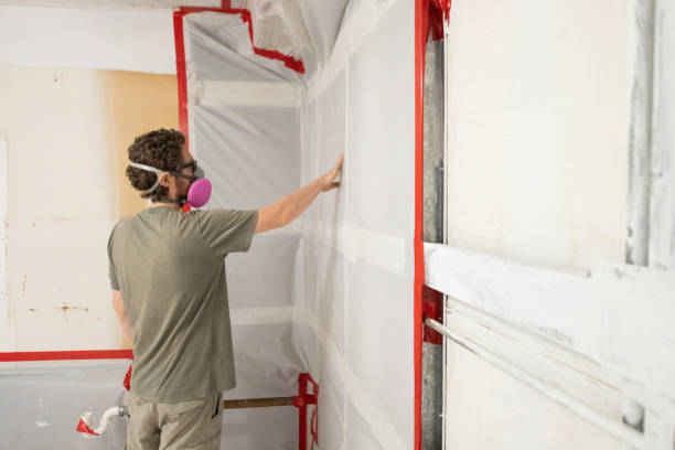 Best HVAC Mold Inspection and Cleaning  in Park Hills, MO
