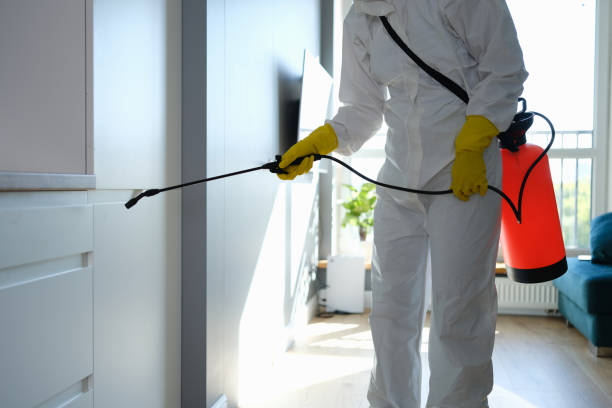 Best Crawl Space Mold Remediation  in Park Hills, MO
