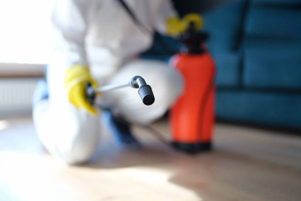 Best Indoor Air Quality Assessment  in Park Hills, MO