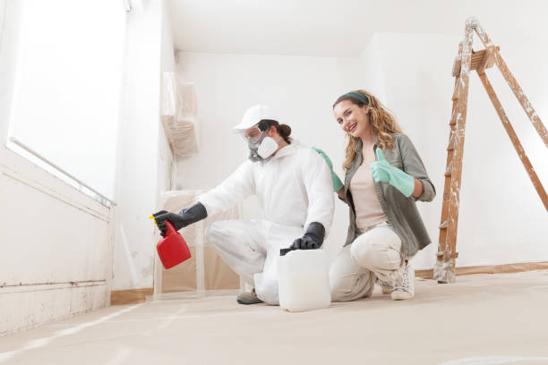 Mold Odor Removal Services in Park Hills, MO